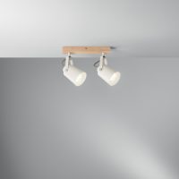 Plafoniera I-EDA-AP2