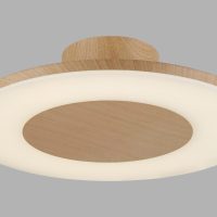 Plafoniera DISCOBOLO 4494