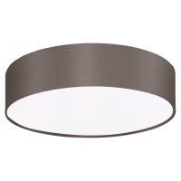 Plafoniera PASTERI PRO 62384