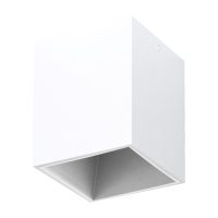 Spot Aplicat POLASSO PRO 63191