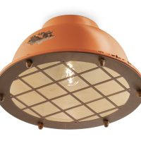Plafoniera INDUSTRIAL C1760-VIO