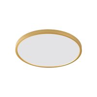 Plafoniera CAMI WM-BP1108-M-G