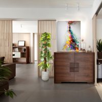 Planta Decorativa TARO 281126