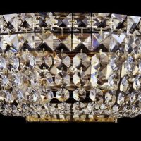 Aplica BASFOR DIA100-WL-02-G