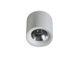 Spot Aplicat MANE 30W DIMM WH AZ4330
