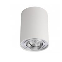 Spot Aplicat BROSS 1 WHITE/ALUMINIUM AZ0781