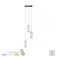 Lustra CALLY MD3147-3A-3GT