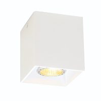 Spot Aplicat DICE 4144100