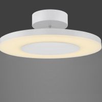 Plafoniera DISCOBOLO 4492