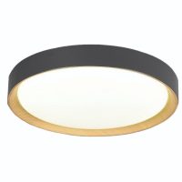 Plafoniera SPIRIT 4271101