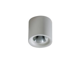 Spot Aplicat MANE 20W DIMM WH AZ4327