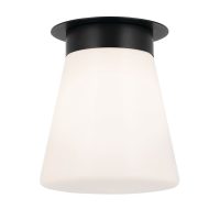 Plafoniera KL-ALBERS-F-T-BK