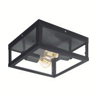 Plafoniera ALAMONTE 1 94832