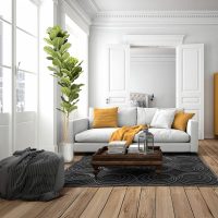 Planta Decorativa HIGUERA VIOLIN 281232