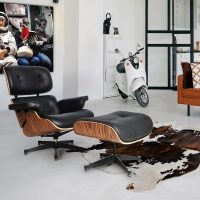Fotoliu EAMES 448370
