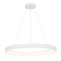 Lustra 2061