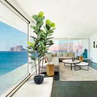 Planta Decorativa HIGUERA VIOLIN 281577