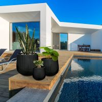 SET Ghiveci KIOTO 495080