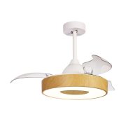 Plafoniera COIN FAN MINI SMART 9497