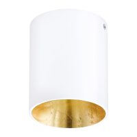 Spot Aplicat POLASSO PRO 62255