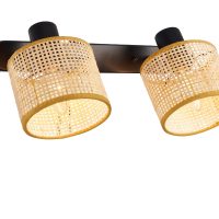 Aplica ERICA 4274800