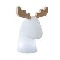 Veioza Exterioara RUDY 3139