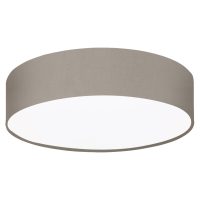 Plafoniera PASTERI PRO 62381