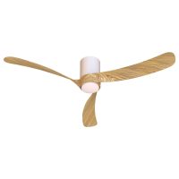 Plafoniera NEMO II L 9493