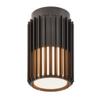 Plafoniera ALUDRA 2118006003