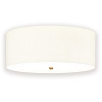 Plafoniera FLETCHER DL-FLETCHER26-5LT-IV-AB