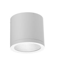 Spot Aplicat CONYON IP54 25W CCT SWITCH WH AZ6030