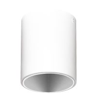 Spot Aplicat POLASSO PRO 63451