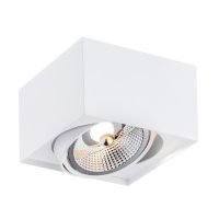 Plafoniera GDPRS PLUS 4753 BZ