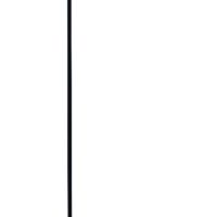 Lampadar DEXTER 4216100