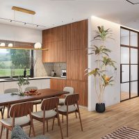 Planta Decorativa DRACENA ROJA 281348